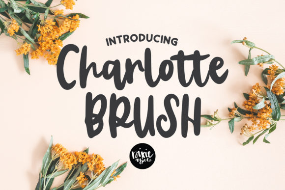 Charlotte Brush: A Creative Tool for Every Hand