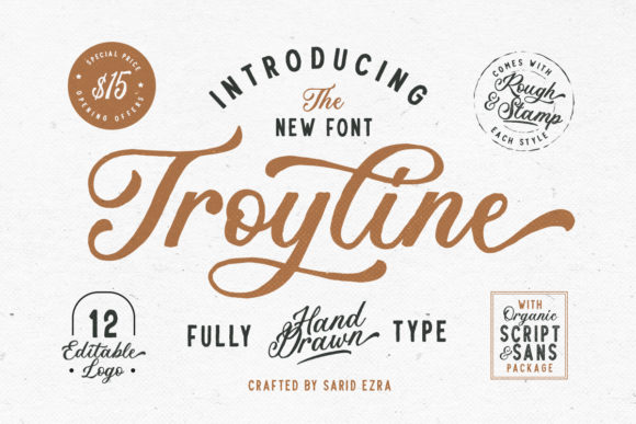 Troyline Font: A Retro-Inspired Duo Font for Creative Projects